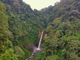 Coban Pelangi Waterfall