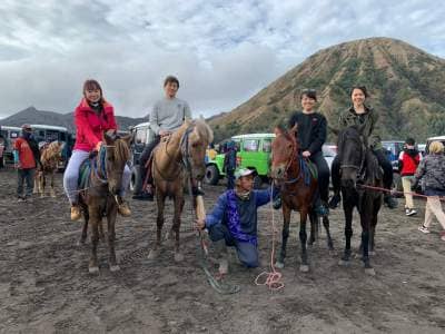 The Natural Beauty of Mount Bromo