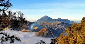 Mount Bromo and Ijen Crater Tours