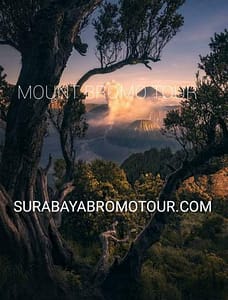 Mount Bromo Tour Indonesia Active Volcano